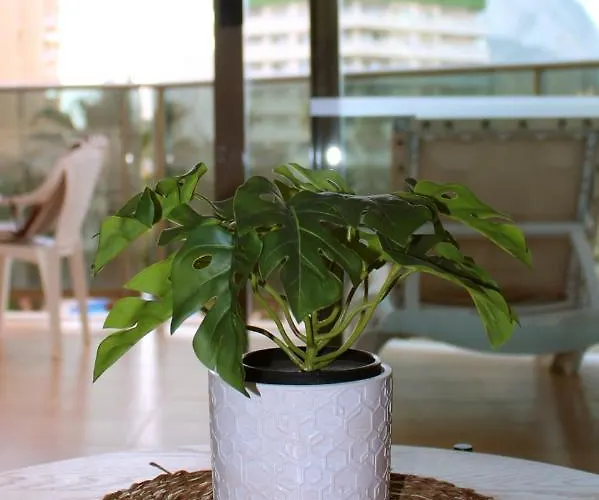 2b - Esmeralda - Pool & 아파트 *