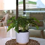 2b - Esmeralda - Pool & Appartement *
